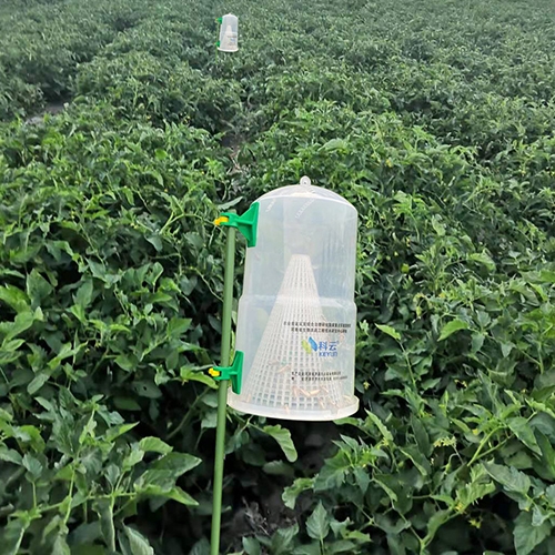 科云&reg;  新型水稻誘捕器