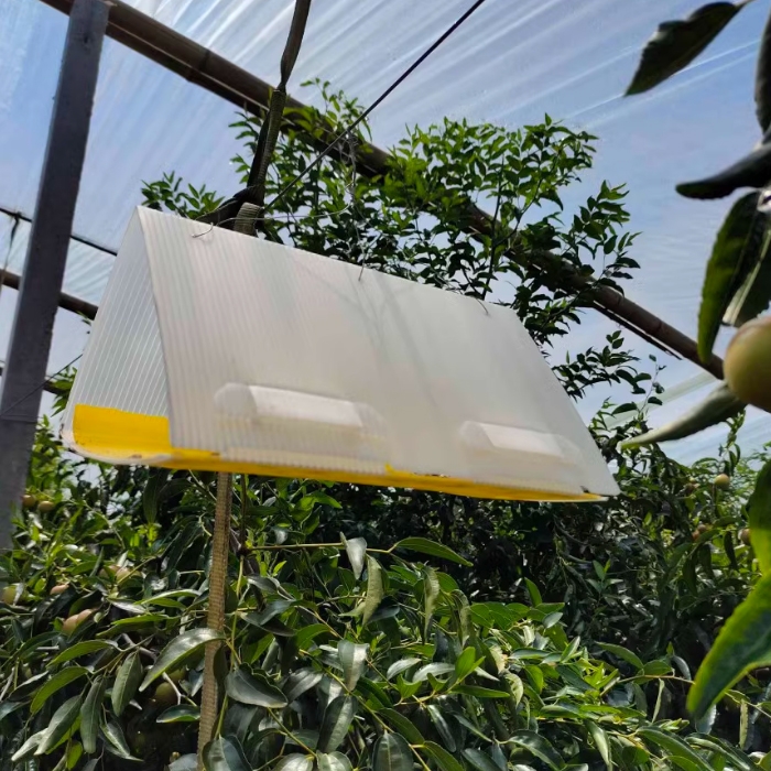 科云&reg;   三角型誘捕器